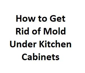 How To Get Rid Of Mold Under Kitchen Cabinets House Routine   How To Get Rid Of Mold Under Kitchen Cabinets 