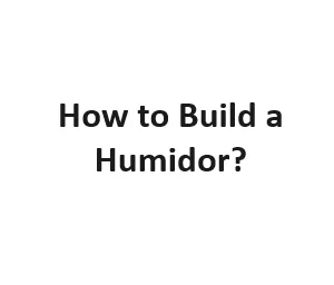 How to Build a Humidor?